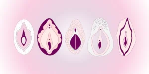why is my clit itchy - the image shows different types of clit