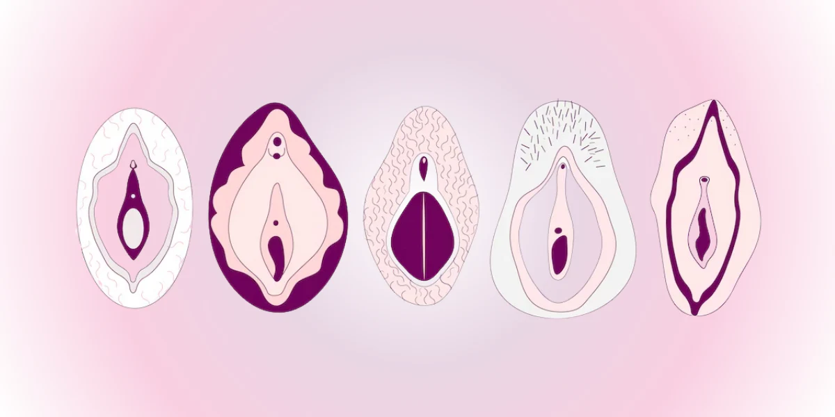 why is my clit itchy - the image shows different types of clit