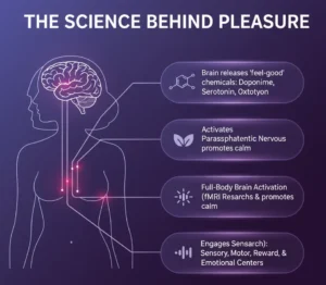 Diagram illustrating the scientific effects of solo play, showing an increase in blood flow and the release of key neurochemicals: Dopamine, Serotonin, and Oxytocin, which activate the parasympathetic nervous system for calm and relaxation. Text highlights how arousal triggers the "feel-good trio" of brain chemicals and supports emotional regulation and mental well-being.
